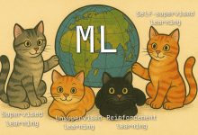 Photo of Способы обучения кошки командам