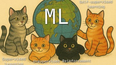 Photo of Способы обучения кошки командам