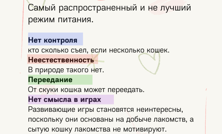 Photo of Как правильно кормить кота?