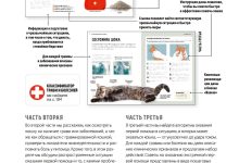 Photo of Секреты здоровья кошки