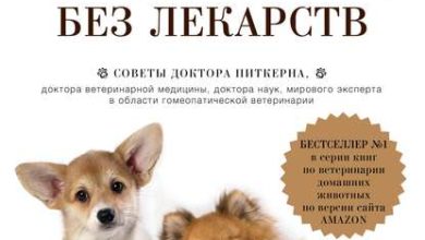 Photo of Секреты хорошего здоровья кота