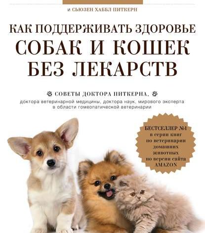 Photo of Секреты хорошего здоровья кота