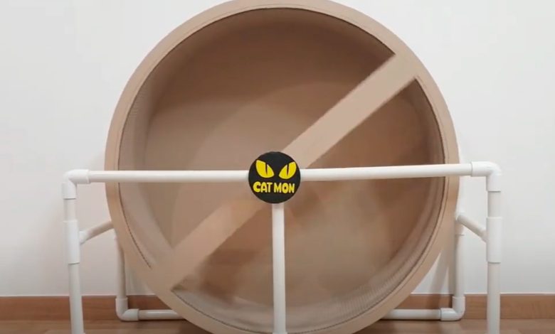 Photo of Лучшие игрушки для котов