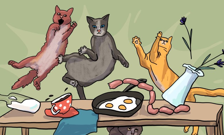 Photo of Как научить кота лазать?