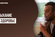 Photo of Безопасность и здоровье мурки