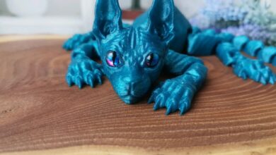 Photo of Территория и игрушки для сфинкса