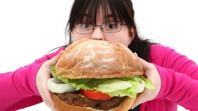 Photo of Проблема склонности к ожирению у мейн-кунов: как предотвратить?