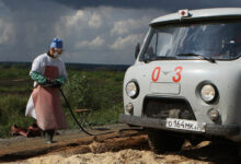 Photo of Правила кормления сибирской кошки: что важно знать?