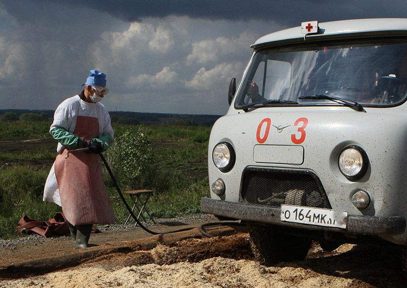 Фото 34 — Правила кормления сибирской кошки: что важно знать?