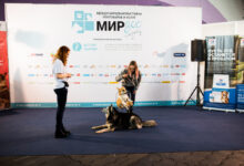 Photo of Эффективные методы лечения диабета у домашнего питомца