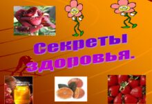 Photo of Уход за коратом: секреты здоровья