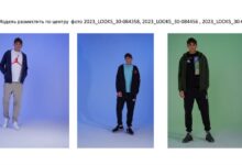 Photo of Уход за сфинксом: основные моменты