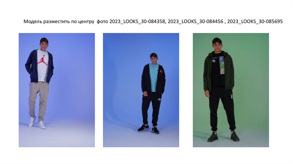 Фото 54 — Уход за сфинксом: основные моменты