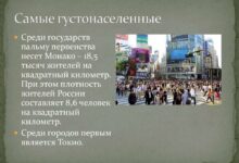 Photo of Проблема перенаселения в доме у мейн-кунов: как решить?