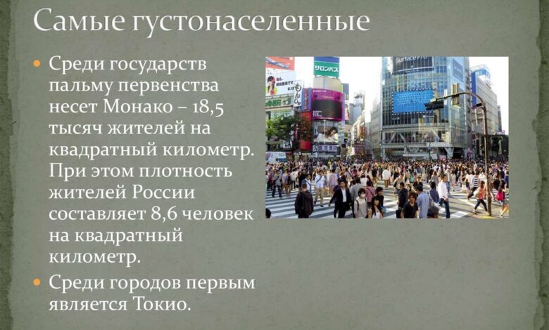 Photo of Проблема перенаселения в доме у мейн-кунов: как решить?