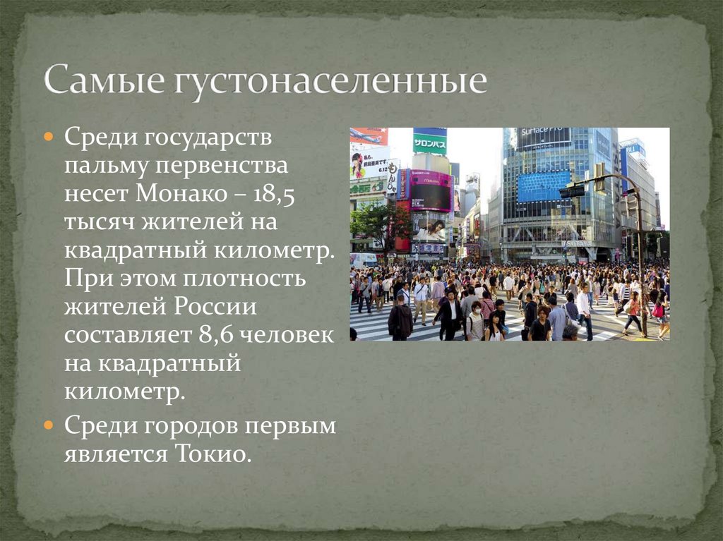 Проблема перенаселения в доме у мейн-кунов: как решить?