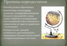 Photo of Проблема перенаселения у норвежской лесной кошки: как избежать?