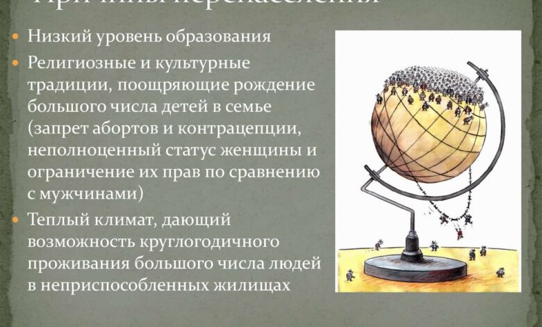 Photo of Проблема перенаселения у норвежской лесной кошки: как избежать?